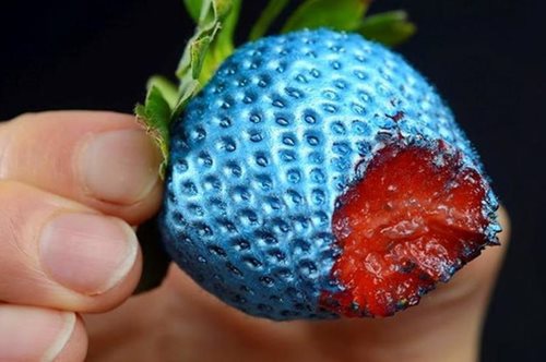 Πώς βλέπουν τον κόσμο οι άνθρωποι που έχουν αχρωματοψία