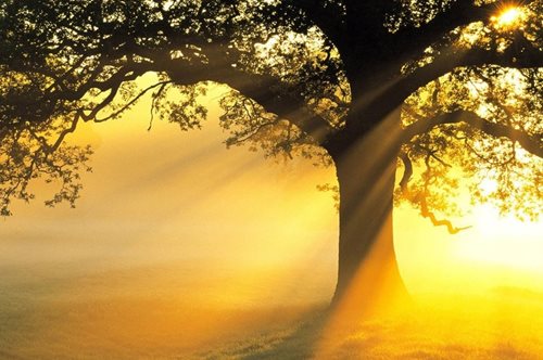 Αυτό είναι το τραγούδι που θα σε απαλλάξει από το άγχος - Αν δεν μας πιστεύεις, απλά άκουσέ το