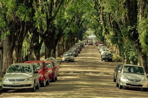Ένα καταπράσινο τούνελ: Αυτός είναι ο πιο ωραίος δρόμος του κόσμου