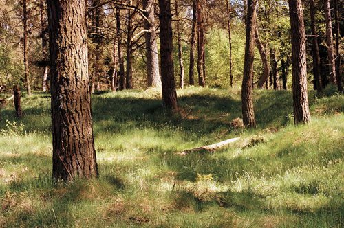 Μπορείτε να βρείτε τον σκοπευτή που σας σημαδεύει σ'αυτές τις εικόνες;