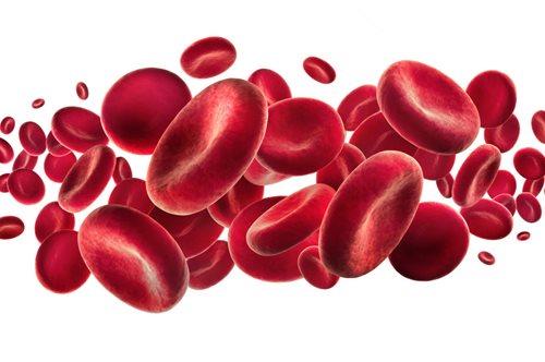 Η σηψαιμία με λίγα λόγια: Τι είναι ακριβώς – Αίτια, συμπτώματα, επιπλοκές και αντιμετώπιση