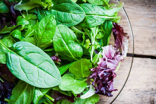 Σαλμονέλα και e-coli μπορεί να κρύβουν οι συσκευασμένες σαλάτες