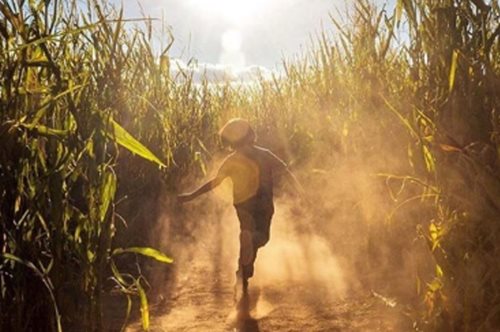 Αυτό είναι το φως που θυμόμαστε από τότε που ήμασταν παιδιά