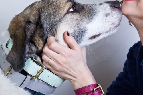 Η Παυλίνα, ο Geppetto και τα χρωματιστά δερμάτινα λουράκια: Μια ιστορία τρελής αγάπης  