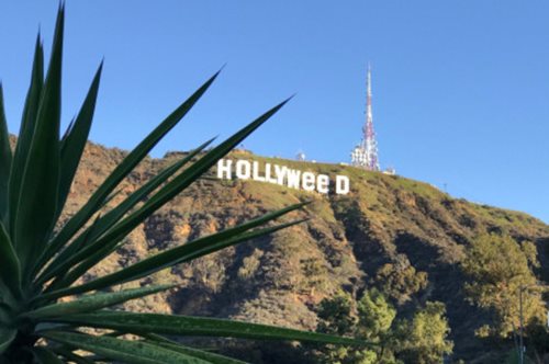 Τι πίνουν εκεί στο Hollywood;