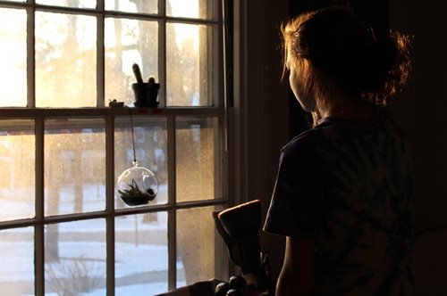 Πως να βελτιώσετε την ποιότητα του αέρα στο σπίτι σας