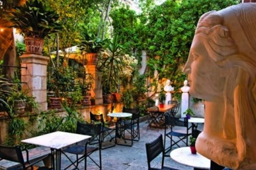 Πάμε για καφέ κάτω από τον φοίνικα που φύτεψε η βασίλισσα Αμαλία