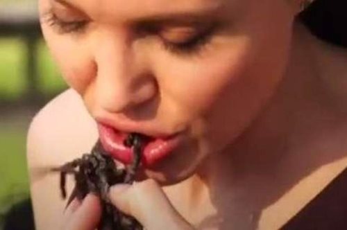 H Αngelina Jolie μαγειρεύει και τρώει αράχνες και σκορπιούς μπροστά στις κάμερες