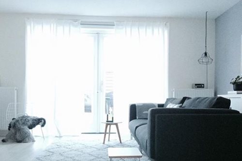 Ένα σπίτι από την Ολλανδία με αέρα Σκανδιναβικό