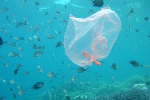 Σε αυτά τα 4 ελληνικά νησιά δεν «παίζει» πλαστική σακούλα ούτε για δείγμα