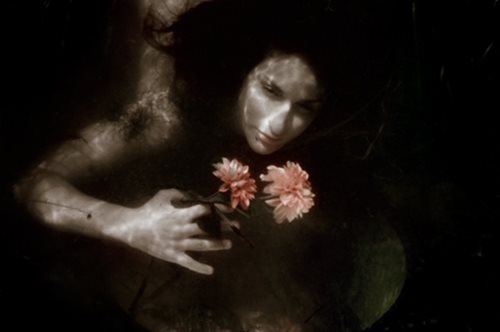 Η ΔΛ Gallery παρουσιάζει την Ατομική ‘Εκθεση Υποβρύχιας Φωτογραφίας “Silence”