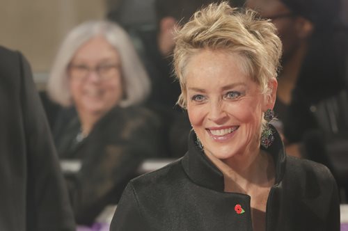 Κάτι ανάμεσα σε φόρεμα και παλτό: Η νέα εμφάνιση της Σάρον Στόουν, χρίζει αντιγραφής