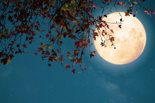 The dark side of the Moon: Πόσο μας επηρεάζει η πανσέληνος ψυχικά και σωματικά;