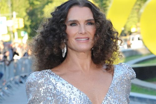 Η Μπρουκ Σιλντς γιόρτασε την Ημέρα των Ευχαριστιών με κατακόκκινο μαγιό μέσα σε μια παγωμένη πισίνα