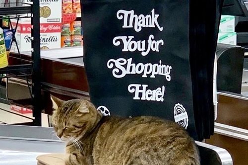 Όλοι ξέρουν ποιοι είναι οι πραγματικοί ιδιοκτήτες των μίνι μάρκετ στη Νέα Υόρκη