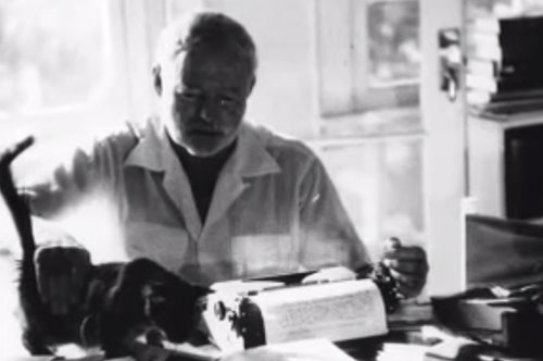 Οι συγγραφείς έχουν ένα χάρισμα ξεχωριστό: Λατρεύουν τις γάτες