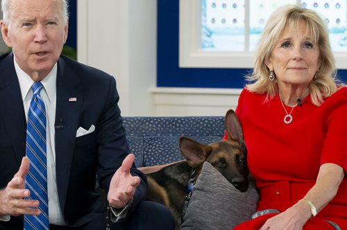 Τα κατοικίδια των Προέδρων και των Πρωθυπουργών