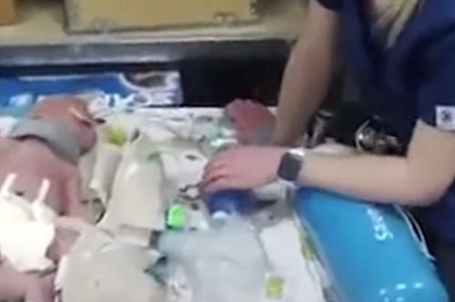 Βρέφη που νοσηλεύονταν σε ΜΕΘ στο Ντνίπρο μεταφέρονται σε αυτοσχέδιο καταφύγιο