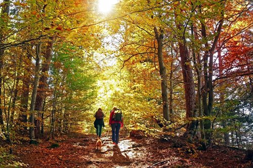 Στον Καναδά οι γιατροί συνταγογραφούν βόλτες στη Φύση