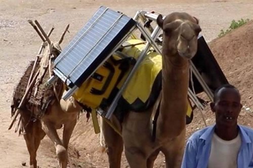 Τετράποδη βιβλιοθήκη: Όταν οι καμήλες μεταφέρουν τάμπλετ για τα παιδιά