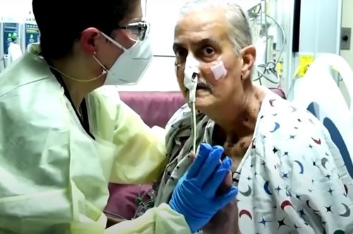 Πέθανε ο πρώτος ασθενής που έλαβε καρδιά χοίρου δύο μήνες μετά τη μεταμόσχευση