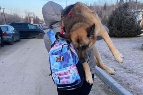 Ουκρανία: Ο αγώνας των ανθρώπων να σώσουν τα ζώα τους