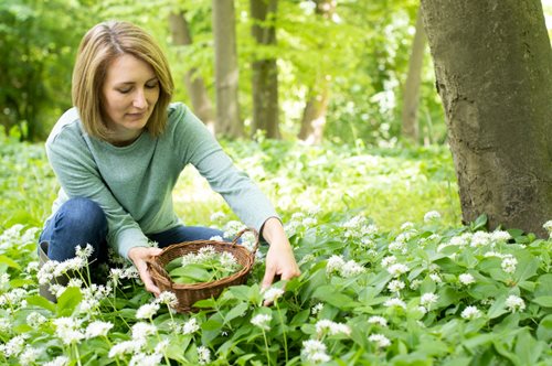 Με τα χόρτα της άνοιξης
