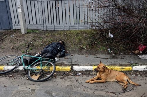 Φρίκη στην Μπούτσα: Ενας ποδηλάτης νεκρός, κρατάει ακόμα το λουρί του σκύλου του - Εκείνο περιμένει