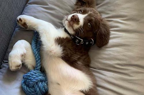 Μπάμπης Αναγνωστόπουλος: Την Παρασκευή ξεκινάει η δίκη KA για τον φόνο της ROXY