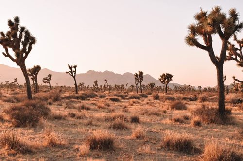 Χωρίς πλανήτη, δεν υπάρχει και σινεμά 