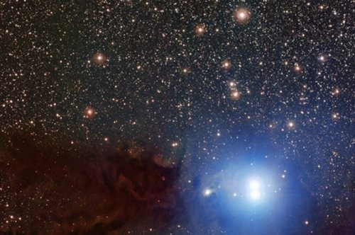 Λυρίδες: Τα πεφταστέρια της άνοιξης έχουν άρωμα «Θάτσερ»