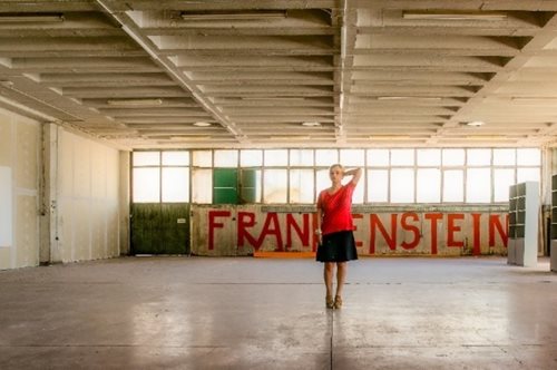 «Φράνκενσταϊν - Ο Χαμένος Παράδεισος»: η νέα παράσταση της Λένας Κιτσοπούλου στη Στέγη