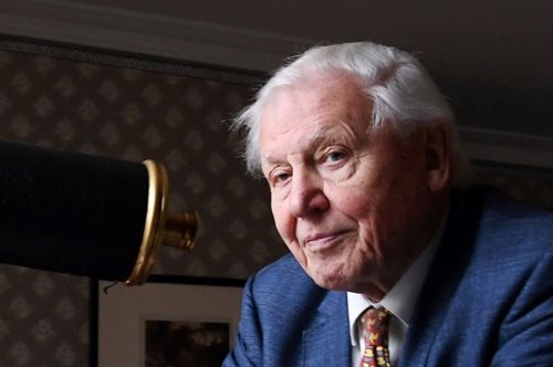 To πρώτο αρπακτικό ζώο φέρει το όνομα του Ντέιβιντ Ατένμπορο