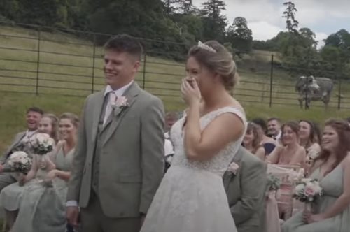 Όταν μια αγελάδα προέβαλλε τη δική της ένσταση σε γάμο