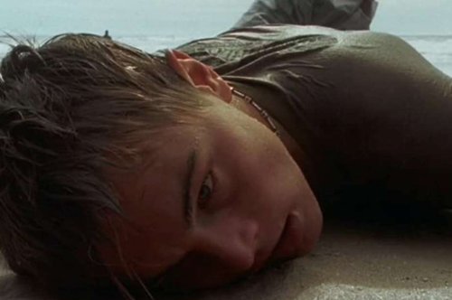 Η 20th Century Fox πληρώνει την οικολογική καταστροφή της 'Παραλίας' 2 δεκαετίες μετά