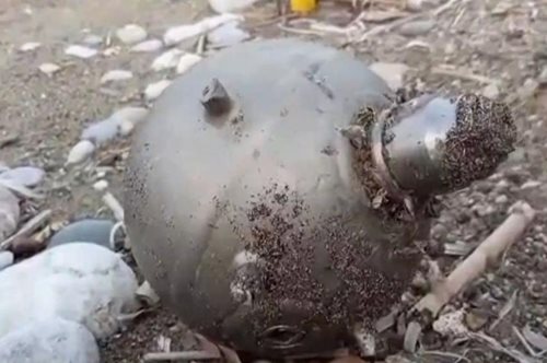 Ρόδος: Ξεβράστηκε πολεμικό εξάρτημα στο νησί από την... Ουκρανία