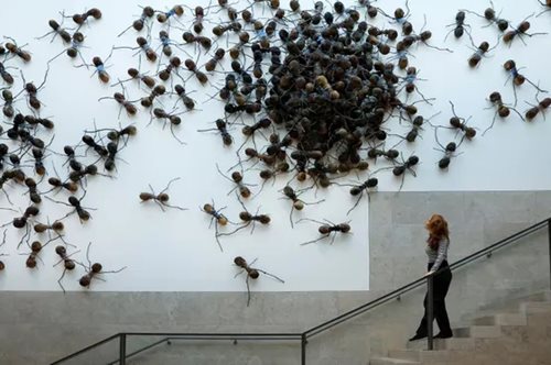 Μία ξεχωριστή έκθεση στο Άμστερνταμ με αράχνες και έντομα ελεύθερα στον χώρο