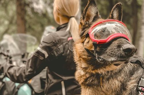 Easy Riders: δύο κορίτσια, η Τζες Στόουν και η Μόξι ταξιδεύουν τον κόσμο με μοτοσικλέτα