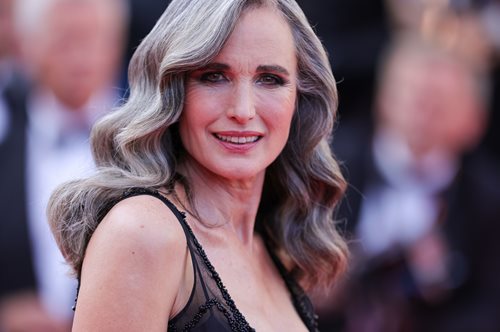 Άντι Μακ Ντάουελ: 