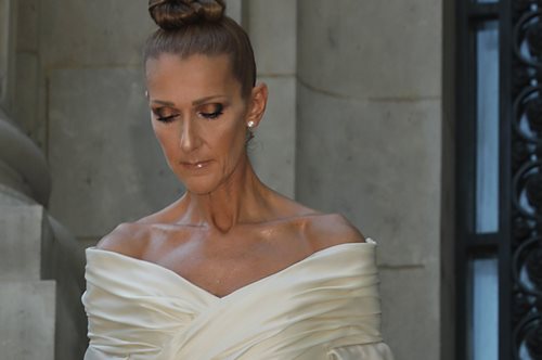 H Celine Dion αγωνίζεται για να επιστρέψει στη σκηνή και στους θαυμαστές της