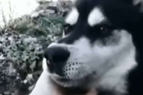 Αράχωβα: Για πόσο θα συγκαλύπτεται από την τοπική κοινωνία ο/οι δολοφόνοι του Όλιβερ;