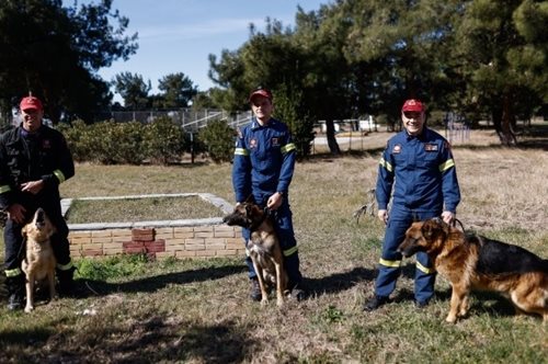 Οι αφανείς διασώστες: ο Φιντέλ, ο Τάλως και ο Έκτωρ