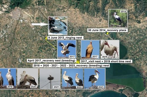 Πελαργός αρραβωνιασμένος με την Ξάνθη!