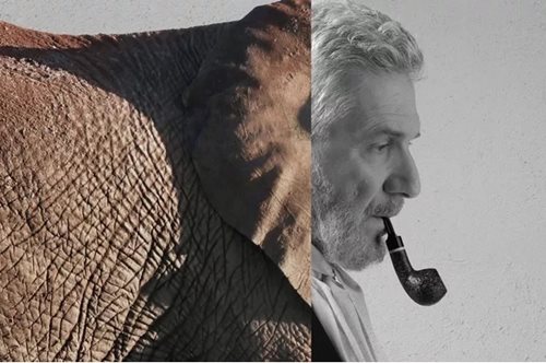 Θέατρο: Τρία έργα που αγαπήσαμε στο σινεμά ανεβαίνουν στη σκηνή