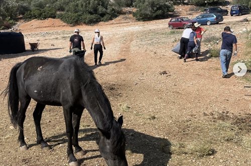 Το πρόβλημα με τα 92 ελεύθερα άλογα στον Υμηττό ζητά λύση από την Περιφέρεια και το Υπ. Αγροτικής Ανάπτυξης