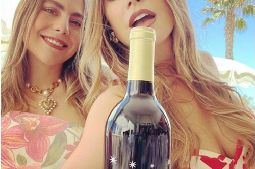 Kλώντια Βεργκάρα: Η ανιψιά της Σοφία Βεργκάρα θα μπορούσε να είναι ο κλώνος της