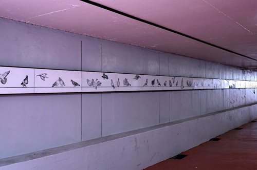 Γιατί φωλιάζουν πουλιά στην υπόγεια διάβαση Χαροκόπου;