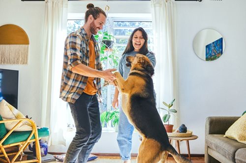 My Pet My Home: Ενέργεια για ό,τι νιώθεις οικογένειά σου