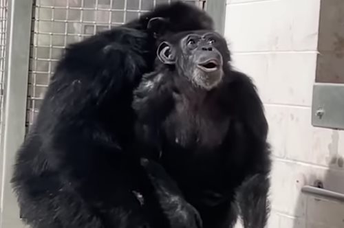 Viral: Η στιγμή που η 