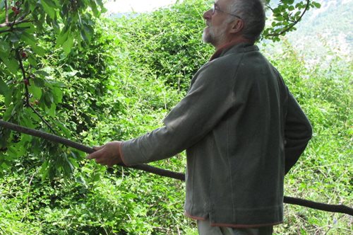 Πίτερ Ανίρ: Ο Άγγλος που συλλέγει ελληνικά ηχοτοπία- από τη βοή των μελισσών ως τις ζαγοριανές μελωδίες
